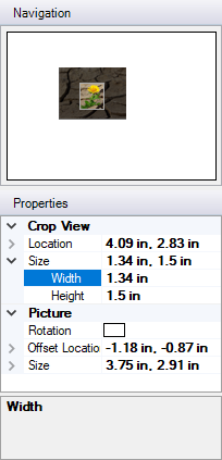 Adjust the Size of the Crop View to set the precise dimension of the picture